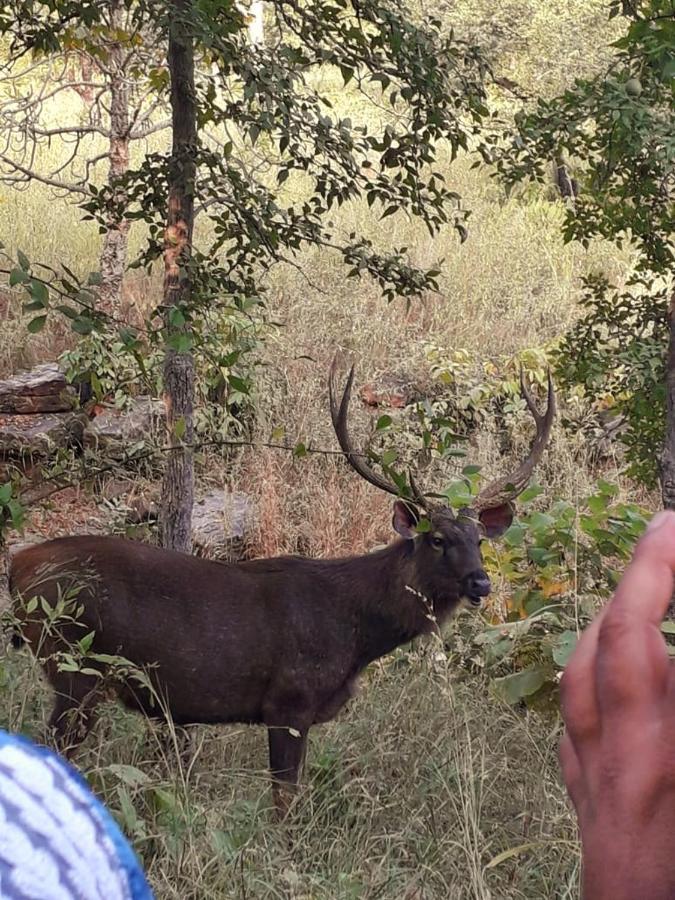 Sadhna Sadan Homestay Panna Madla エクステリア 写真