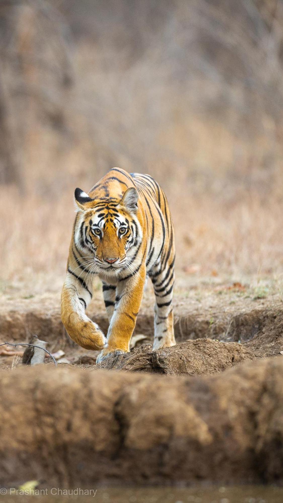 Sadhna Sadan Homestay Panna Madla エクステリア 写真