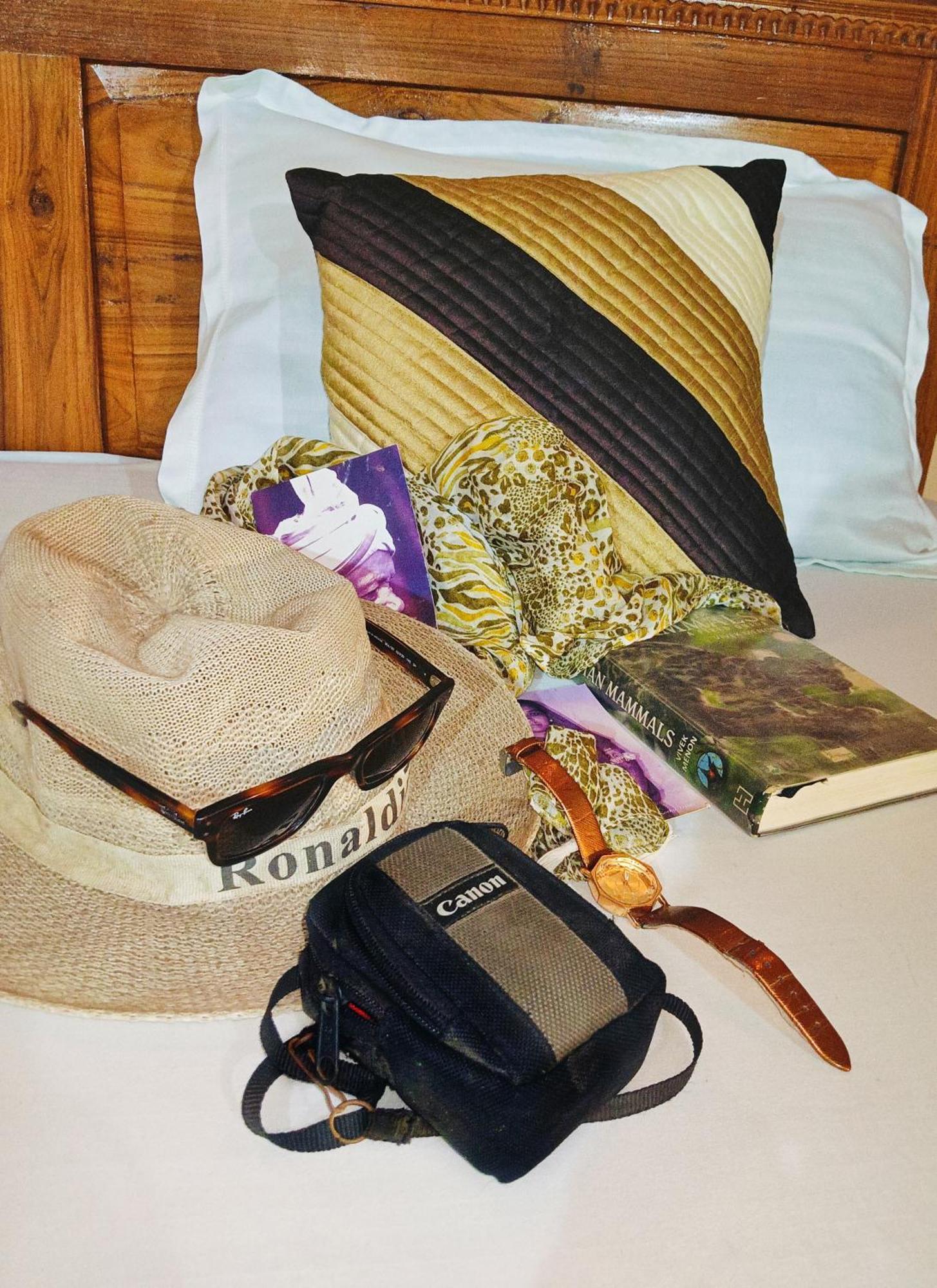 Sadhna Sadan Homestay Panna Madla エクステリア 写真